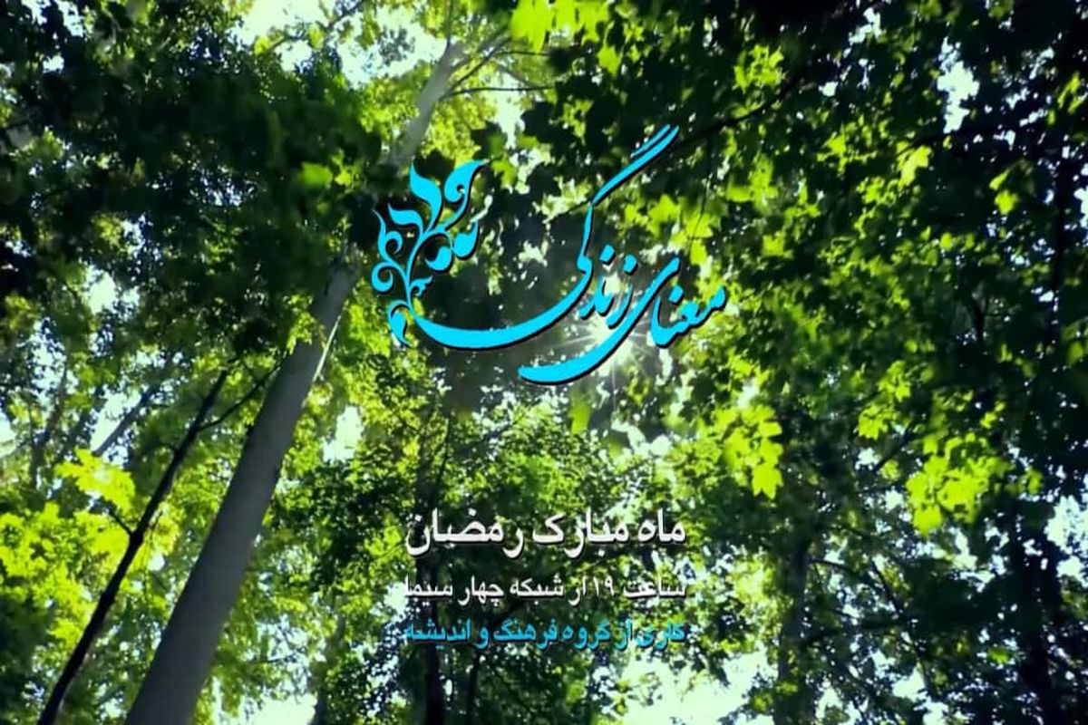 «معنای زندگی» نهان، در فلسفه چیستی