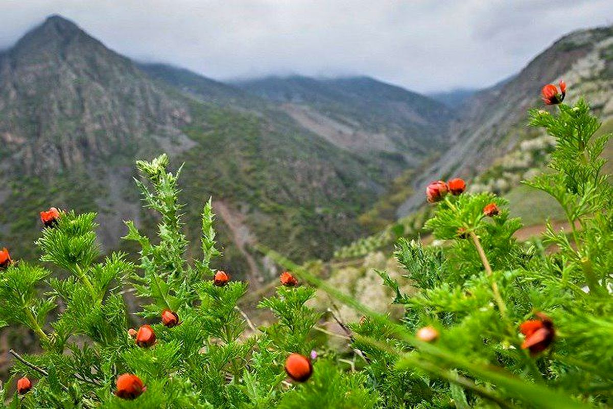 برنامه و مسابقات ورزشی پیش بینی شده  اداره شهرستان  طارم در ماه مبارک رمضان