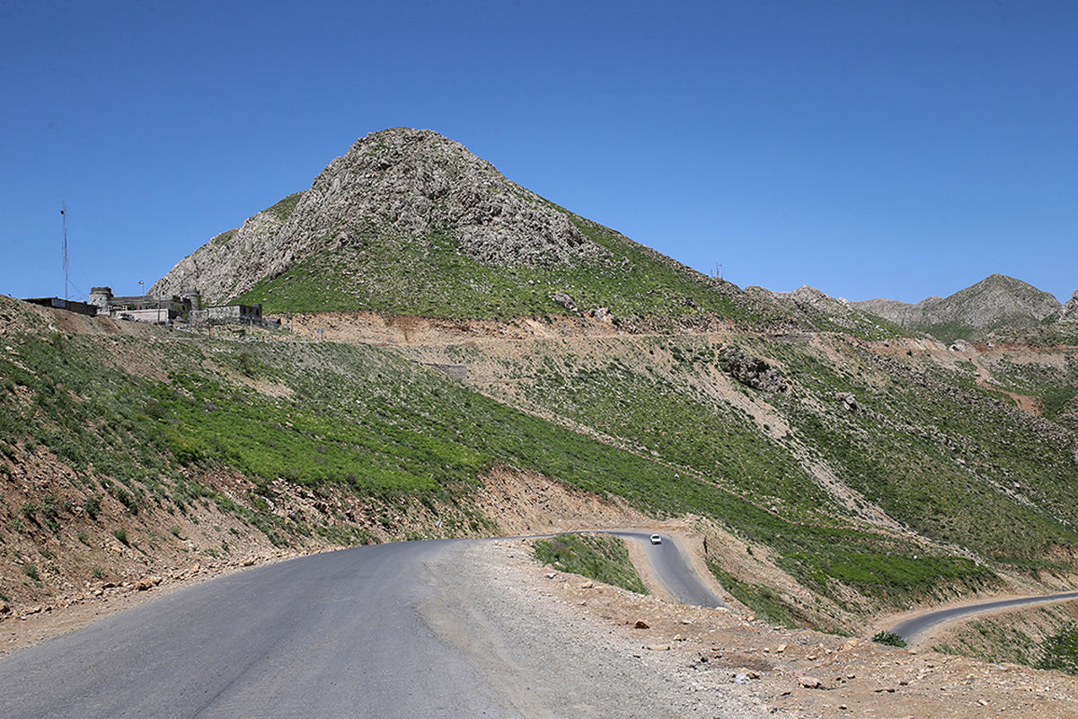 دستگیری برداشت کنندگان غیر مجاز گیاهان دارویی در شهرستان کرمان