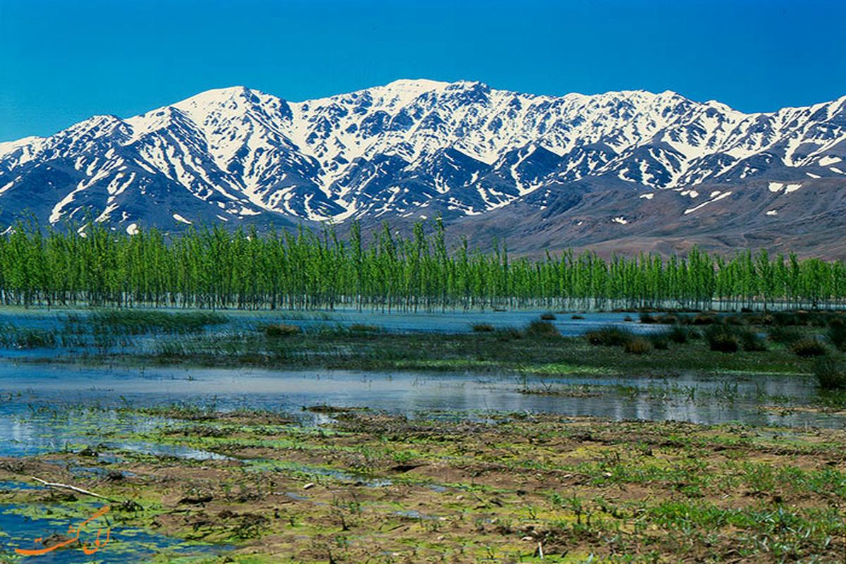 نهایی شدن برنامه جامع مدیریت زیست بوم تالاب بین المللی گندمان