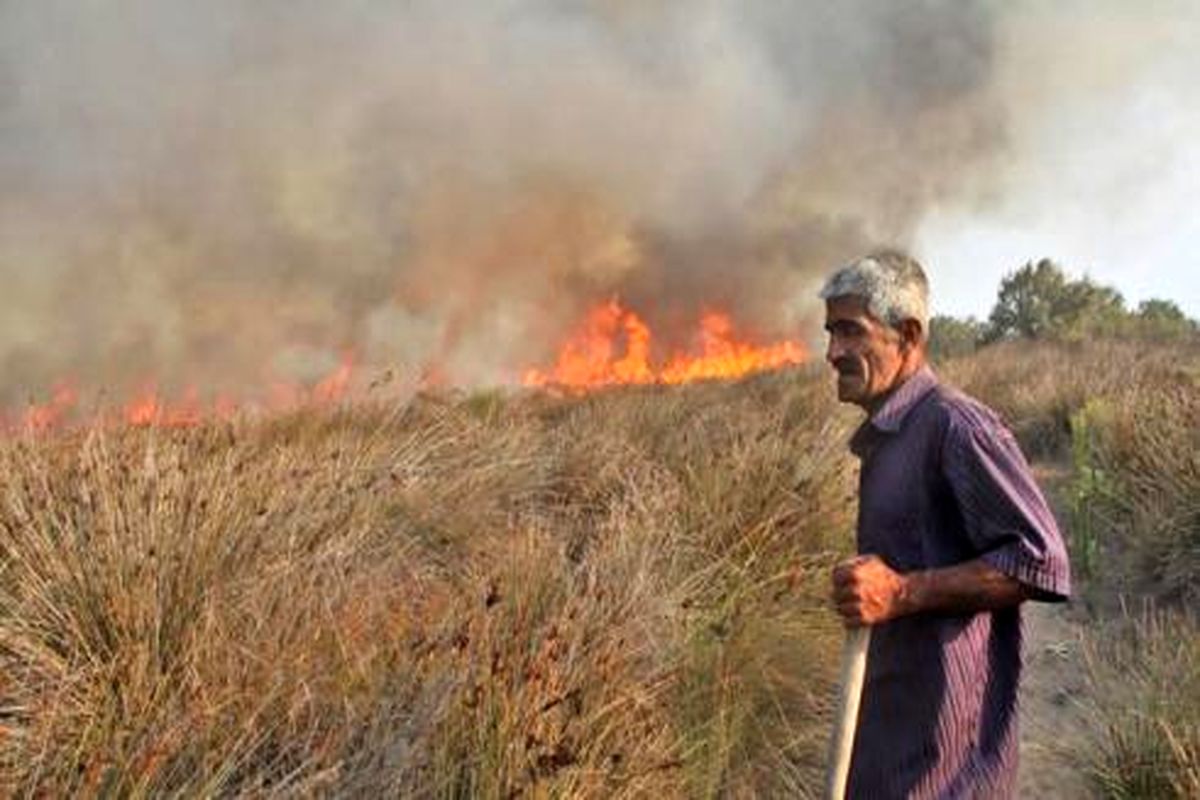 ۱/۵ هکتار از مراتع  روستای تنگ چنار طمع حریق شد