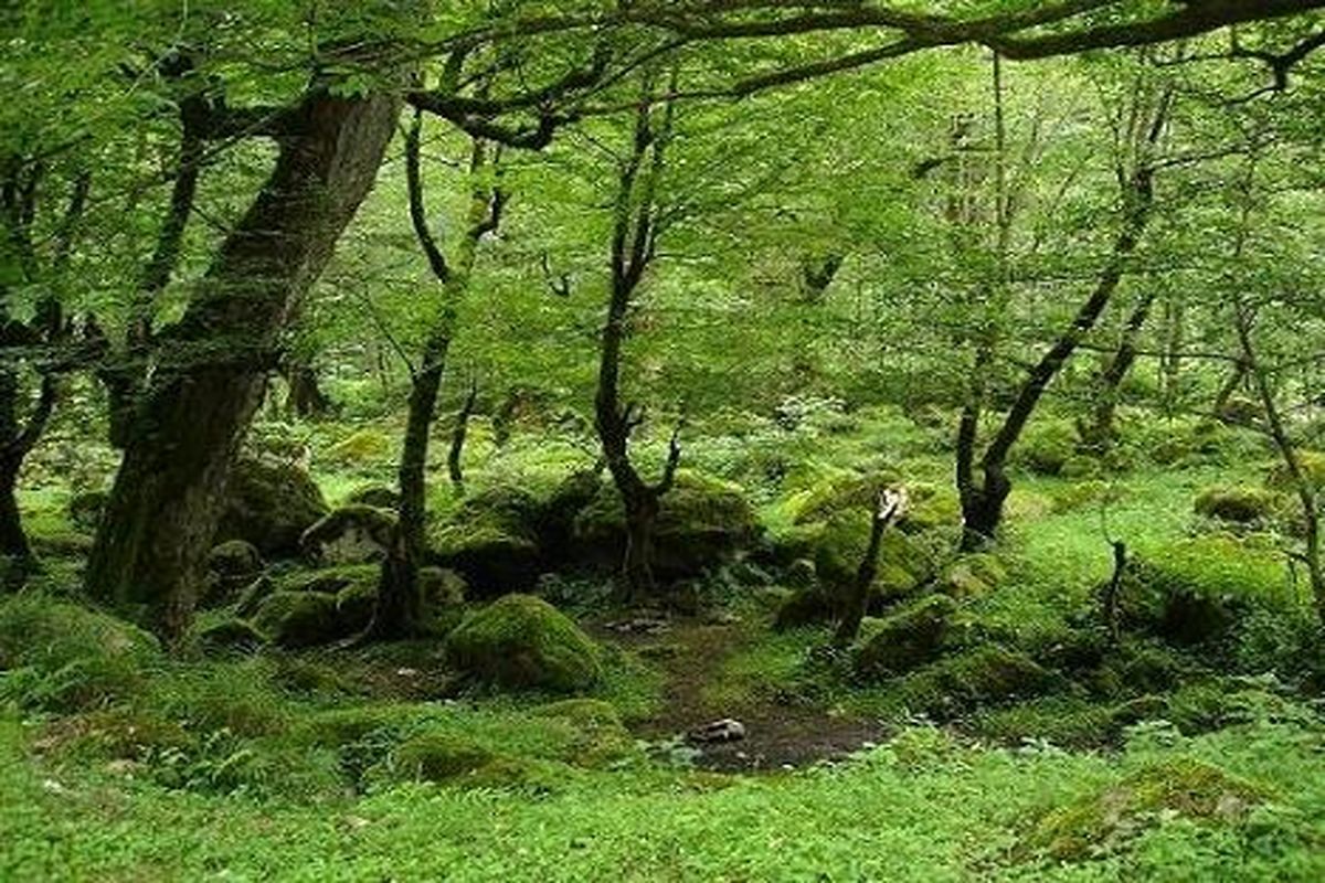 کسب رتبه ۹ در ثبت میراث فرهنگی