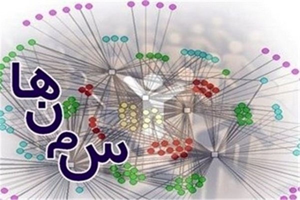 نقش کلیدی ‌سمن‌ها در کاهش ناهنجاری‌های اجتماعی