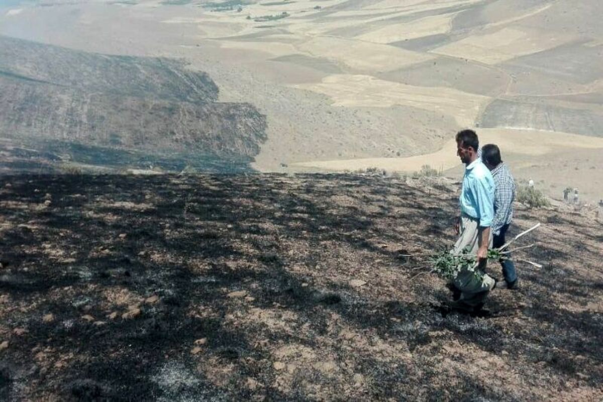 مهار آتش سوزی در مراتع گندمان