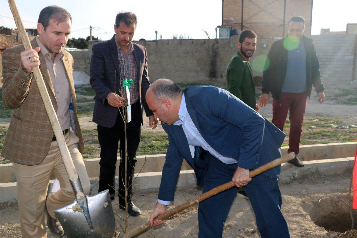 مراقب درختان محله خود باشید