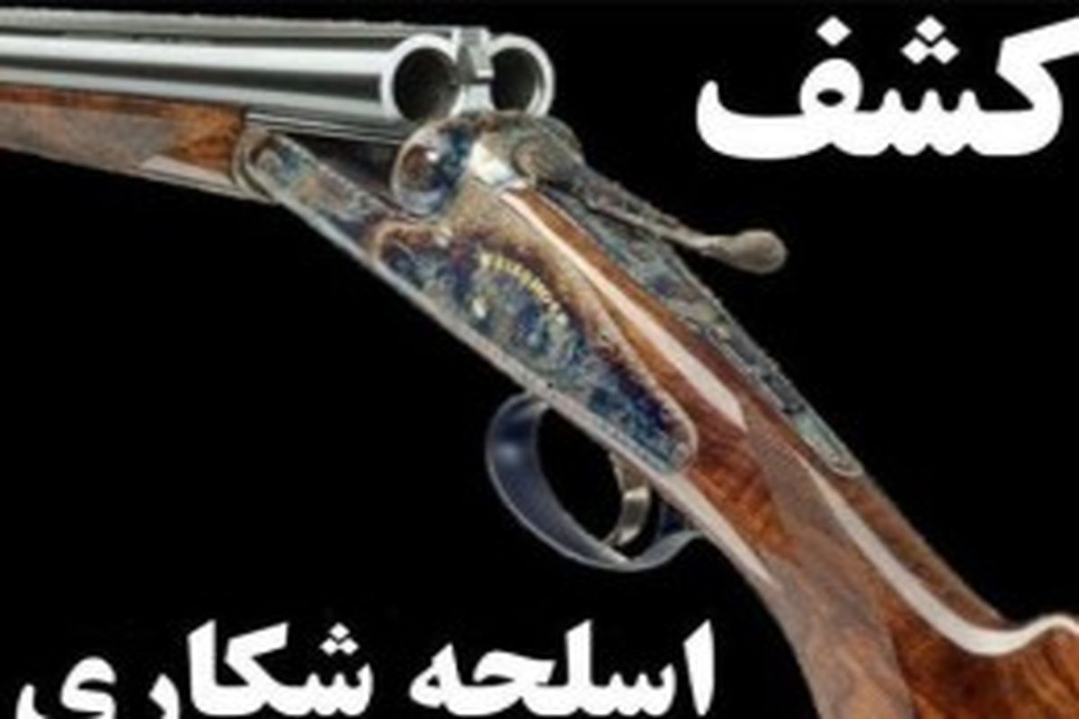 کشف ۸ قبضه سلاح شکاری غیرمجاز در تالش