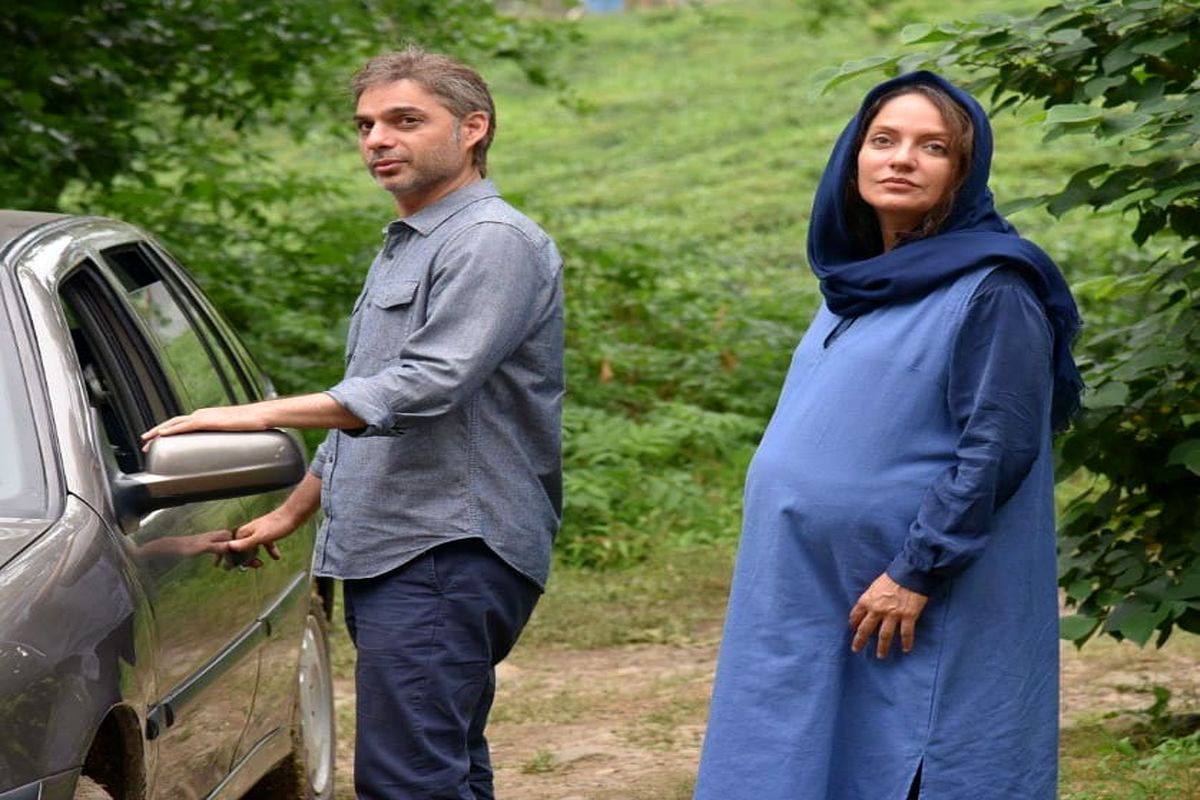 فیلم پیمان معادی به جشنواره رفت