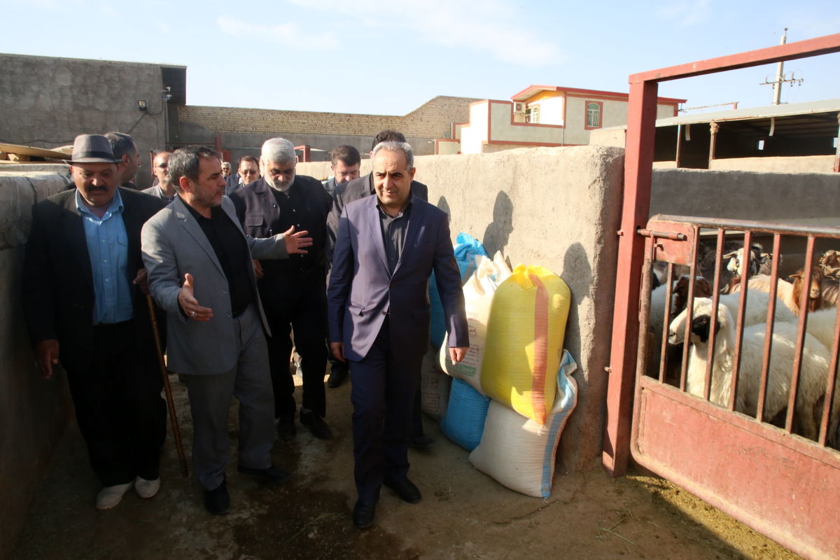 سرمست: ۵۱ درصد از مصوبات جلسات اقتصادی قم در سال جاری اجرایی شده اند