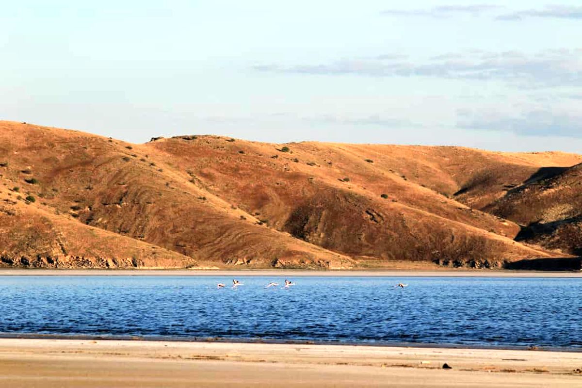 اجرای فاز پنجم احیای دریاچه ارومیه در ۸۳ روستای آذربایجان غربی ‌