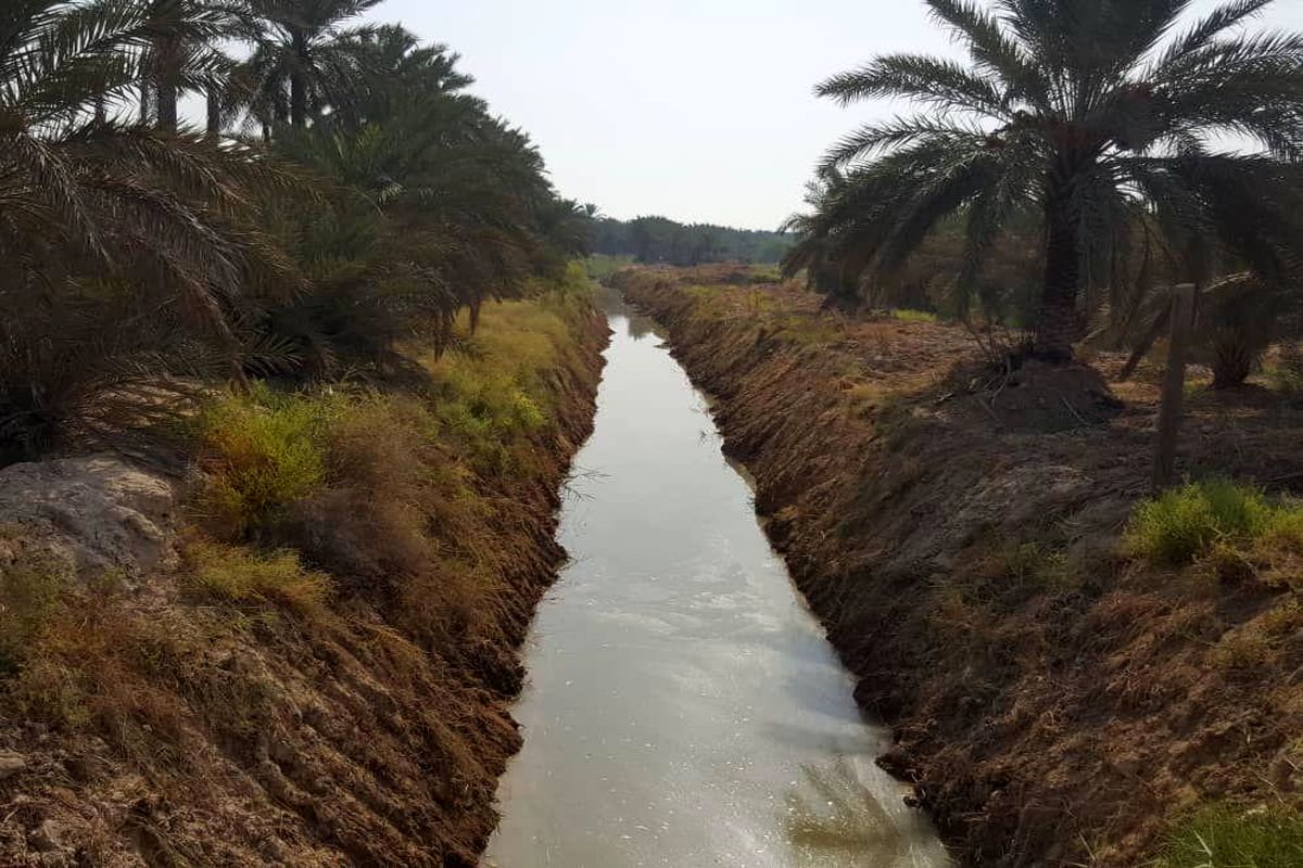 لایروبی ۱۲۳ کیلومتر مسیر اَنهار و رودخانه های شادگان