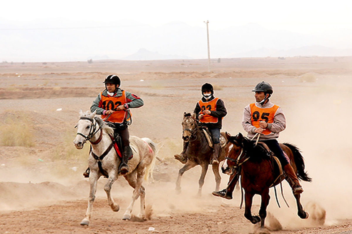 پیست سوارکاری تربت جام افتتاح خواهد شد