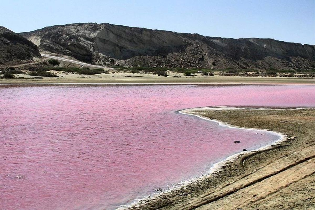 تالاب صورتی ایران کجاست؟