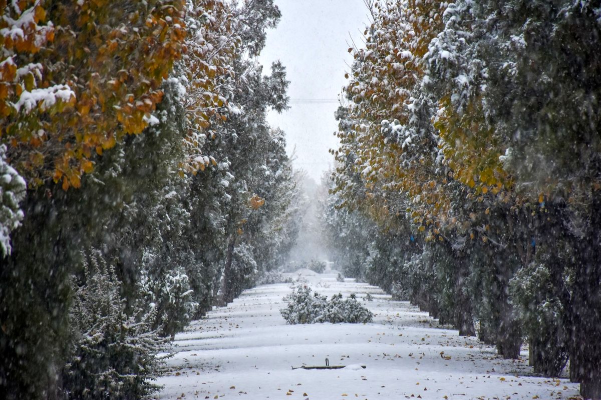 ثبت ۵۰ میلی متر باران در لنده