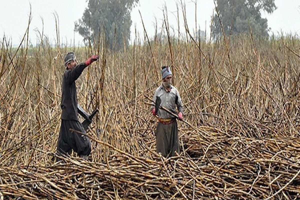 مسیر ناهموار کارگران هفت‌تپه به کمیسیون اجتماعی مجلس