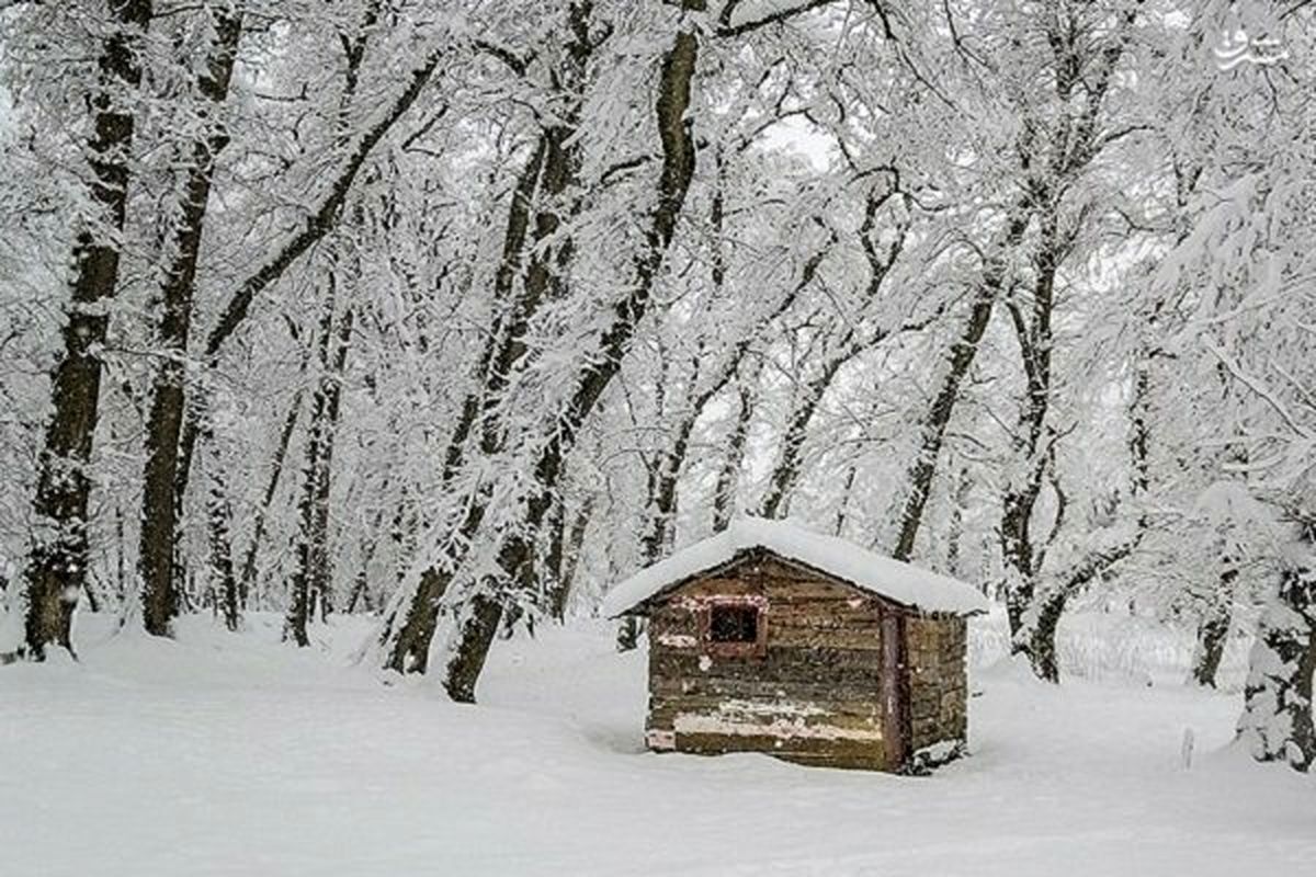 بارش برف در مناطق کوهستانی گیلان