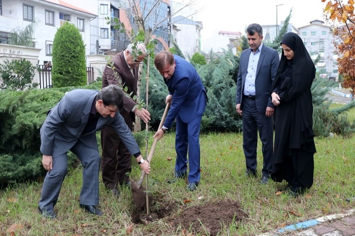 پیوستن استاندار گیلان به پویش ملی نهال کاری همگانی برای ایرانی سبز