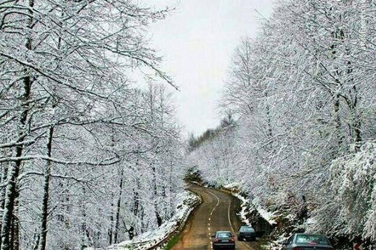 هوای سرد و بارش باران ایلام را فرا می گیرد