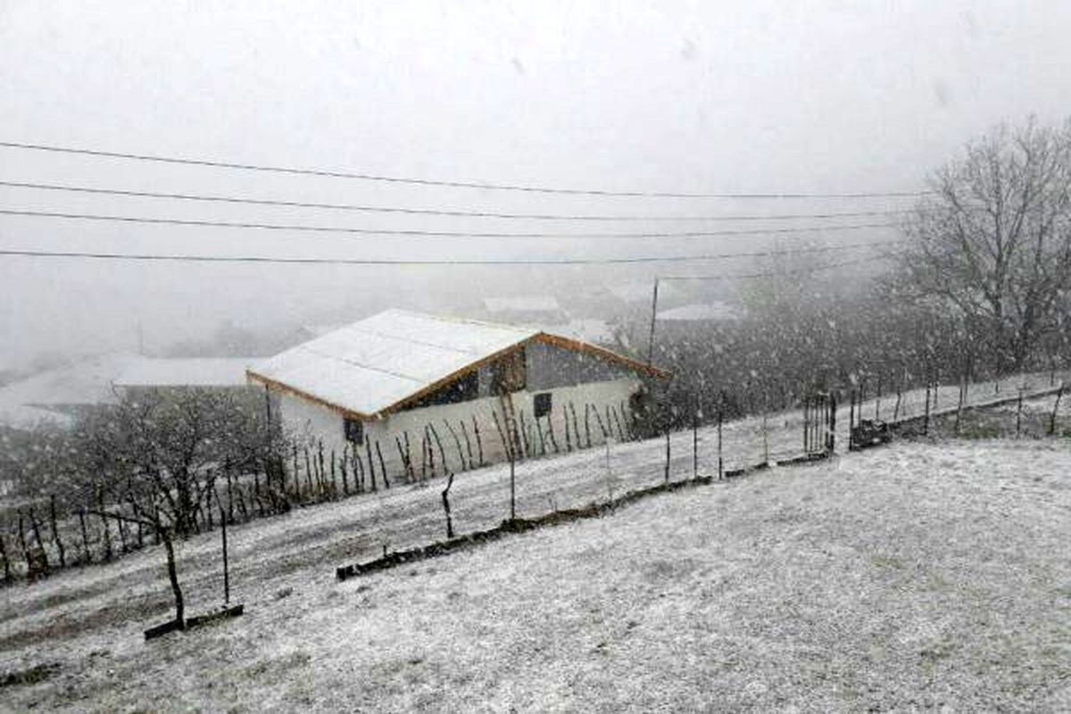 برف کوهستان های گیلان را سفیدپوش کرد