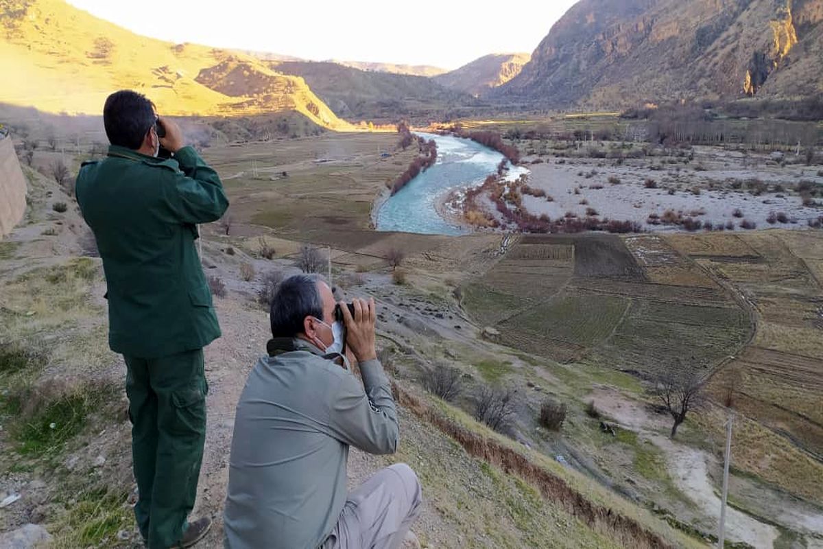 آغاز شمارش پرندگان آبزی و کنار آبزی در کهگیلویه وبویراحمد