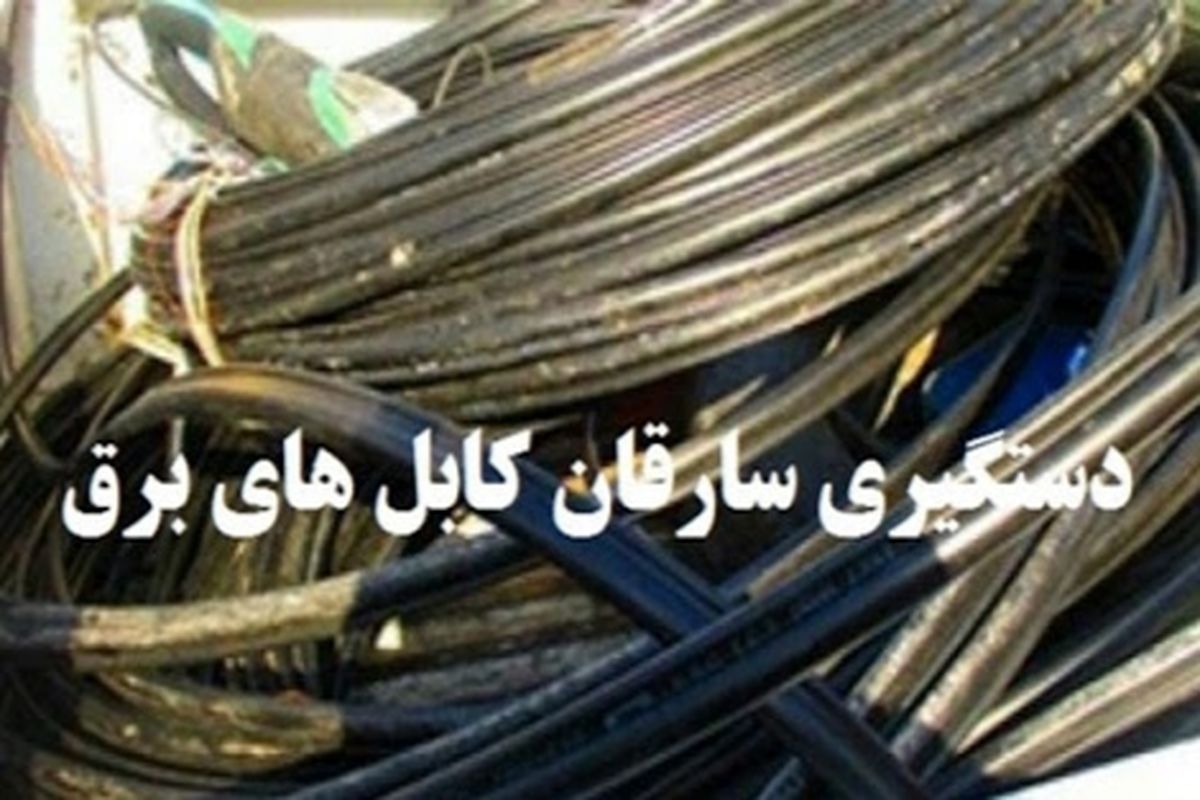 دستگیری سارقان سیم های برق در کهگیلویه