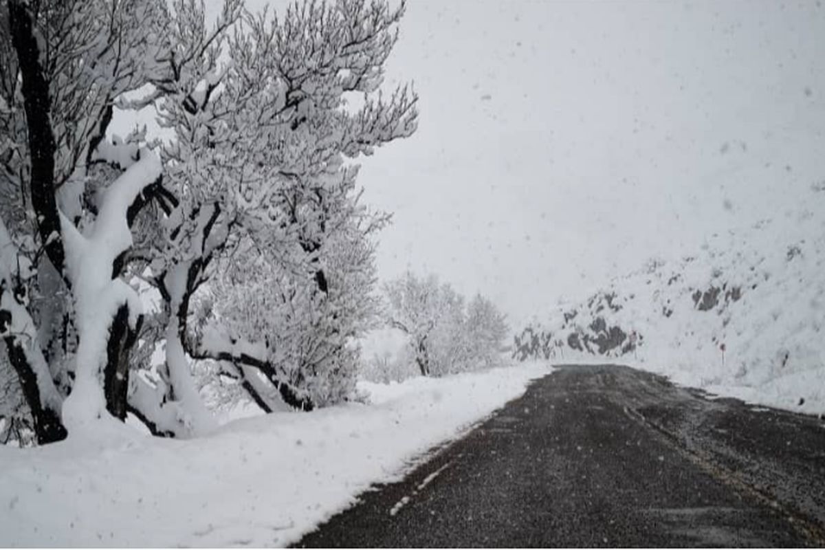 بارش برف در گردنه‌های استان قزوین آغاز شد