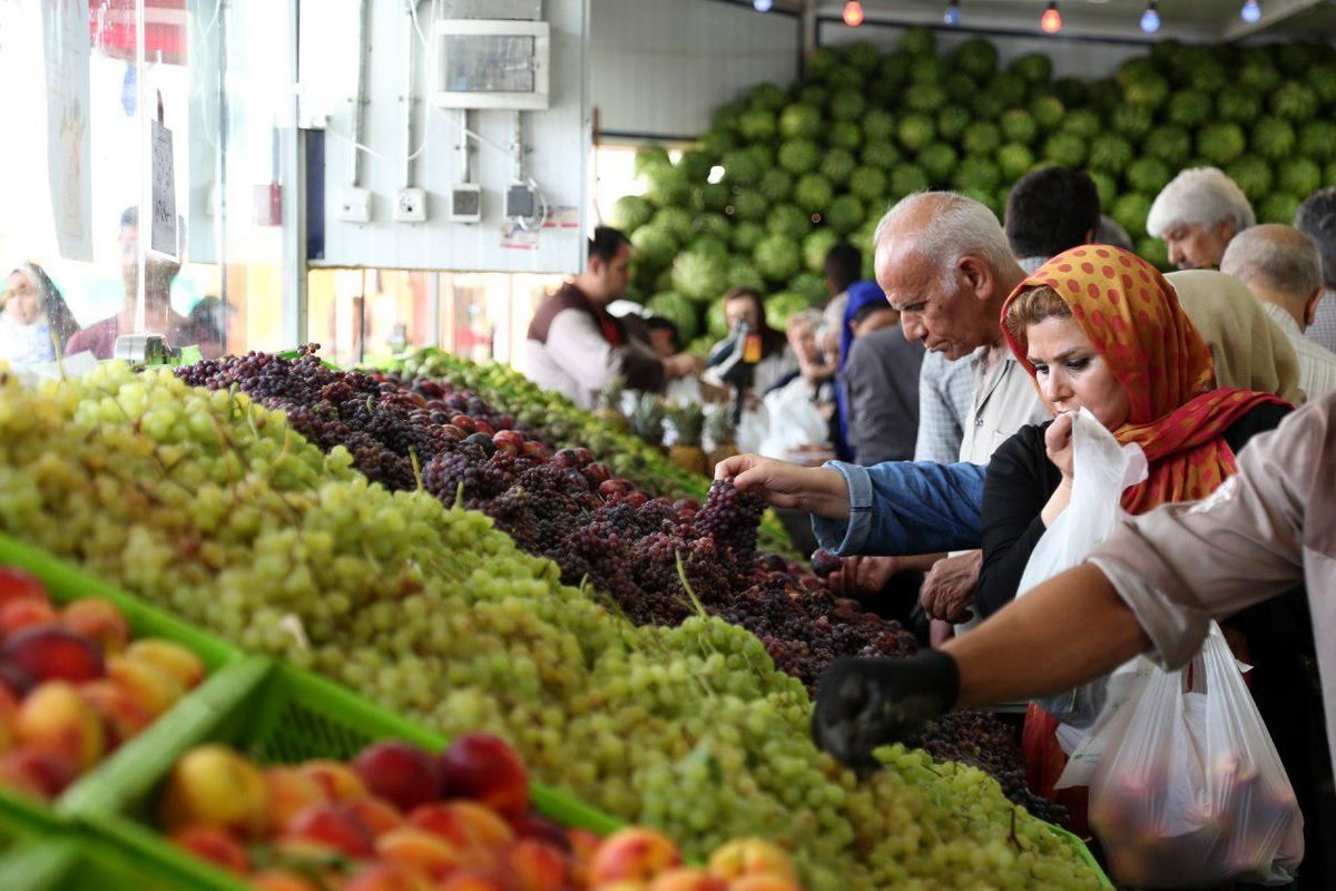 مشخص شدن دقیق زمان توزیع میوه های نوروزی