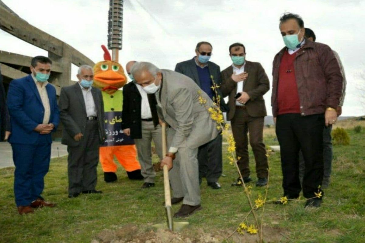 درخت  و نهال به جامعه شادابی می بخشد