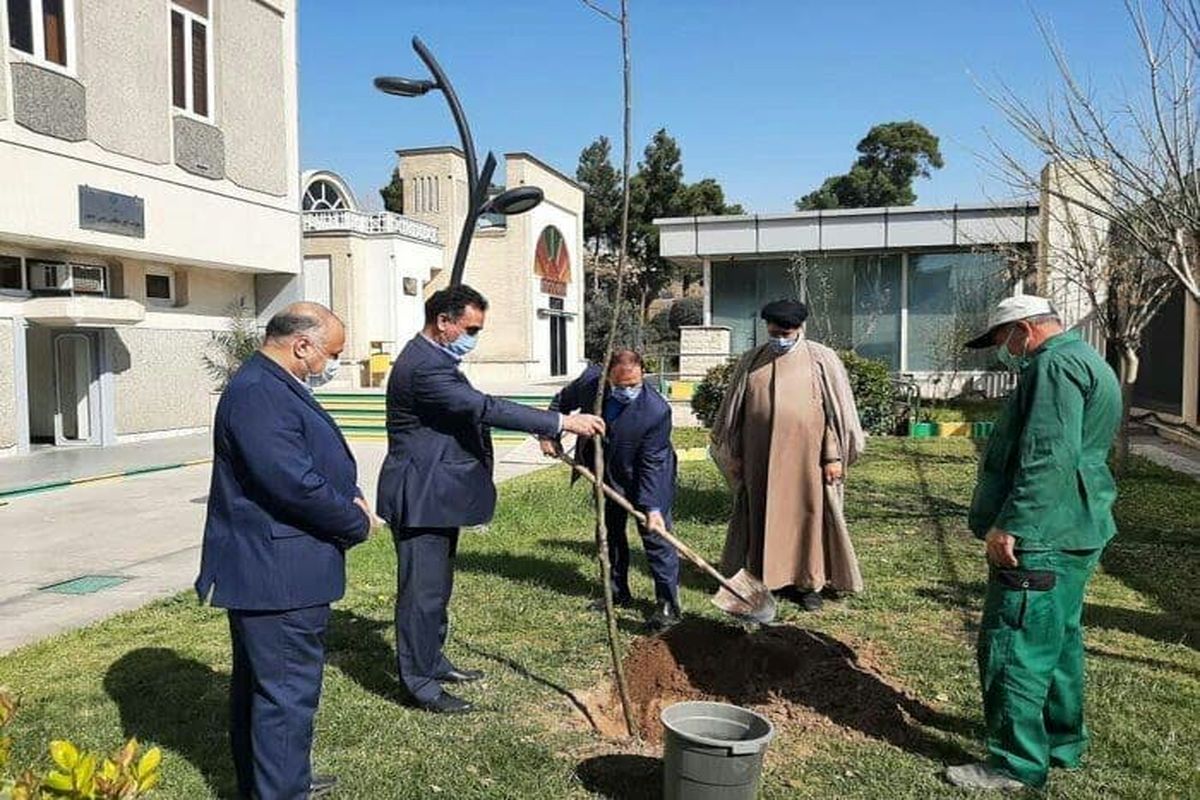 امیدواریم سنت حسنه درختکاری به شکل یک نهضت در کشور ادامه یابد