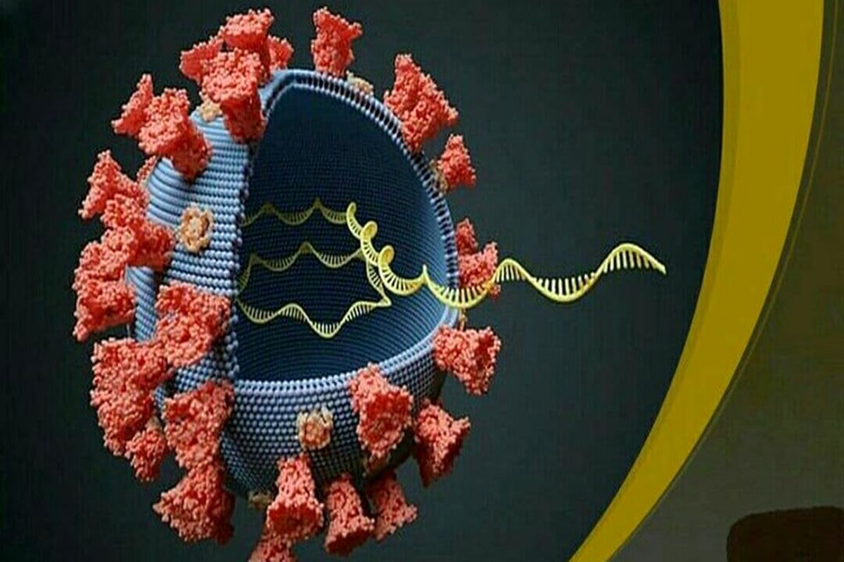 افزایش آمار مبتلایان کرونای انگلیسی در کردستان