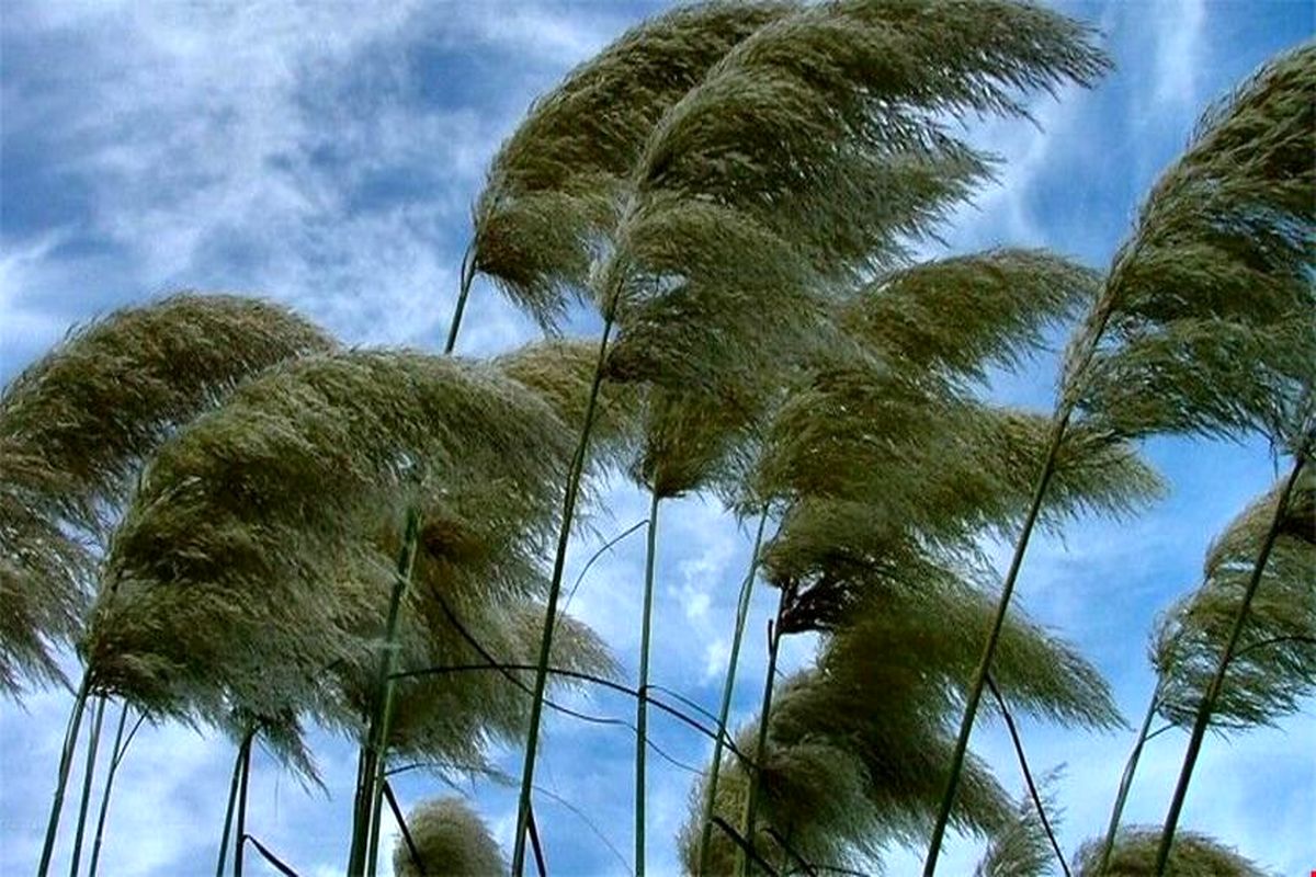 وزش بادشدید در راه تهران