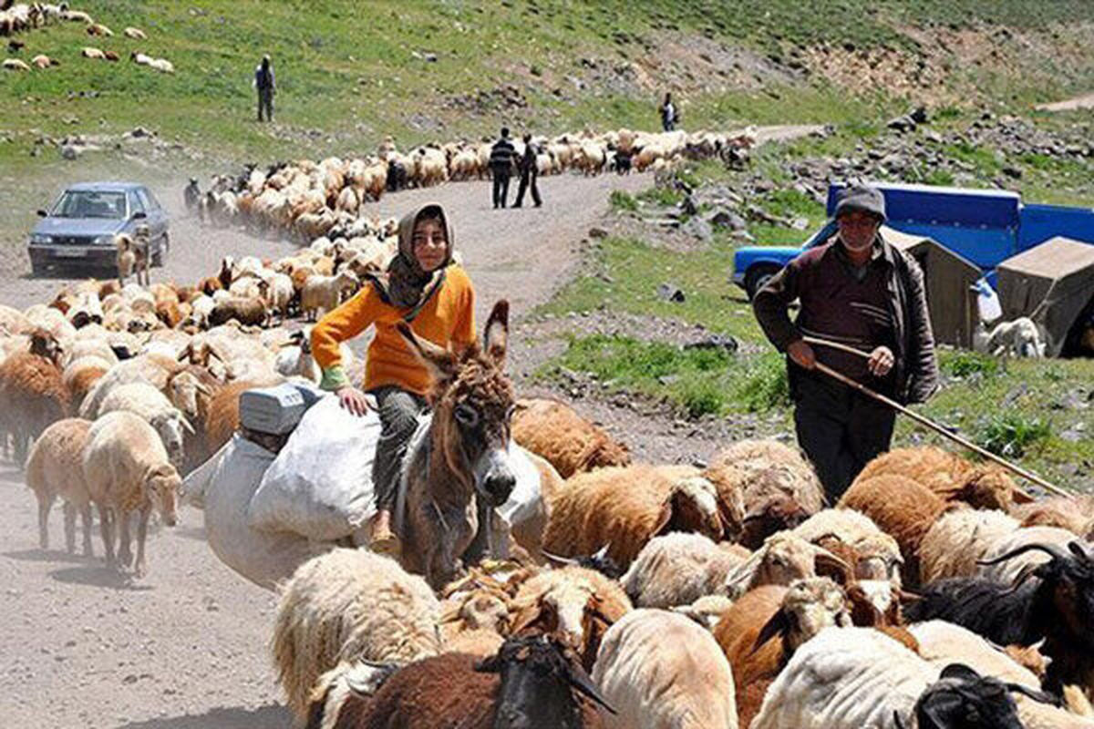 کرونا، مانع کوچ بهاره عشایر شد