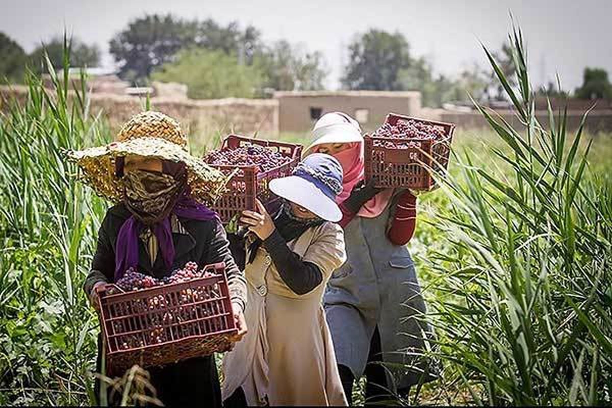 اجرای طرح‌های توانمند سازی زنان روستایی و عشایری در آذربایجان غربی