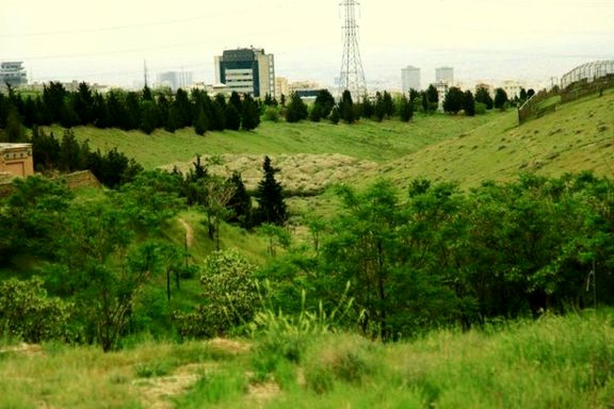 عدم هماهنگی در تصمیم‌گیری برای بازگشایی بوستان‌ها