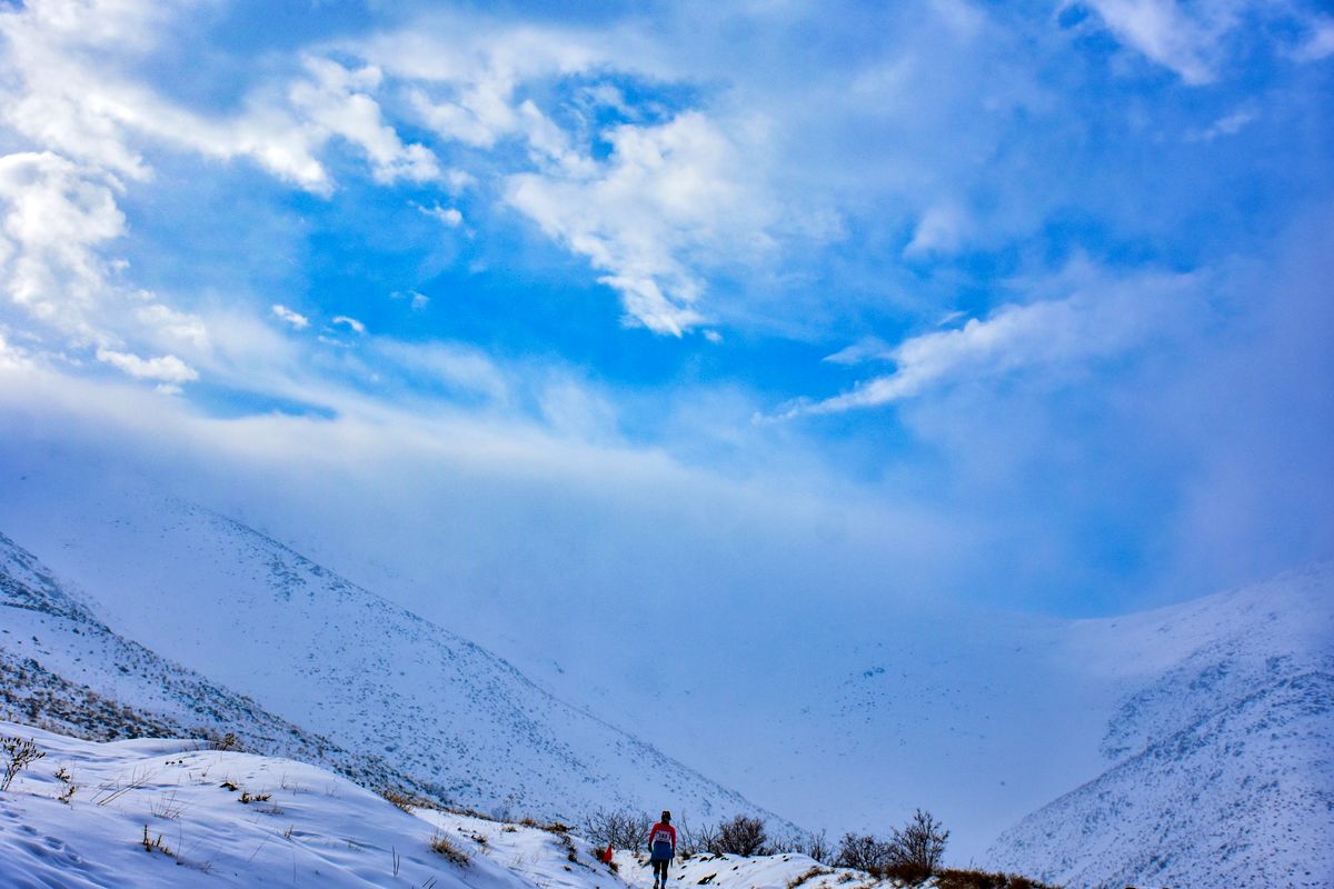 آخرین خبرها از سرگذشت گمشدگان اردکان