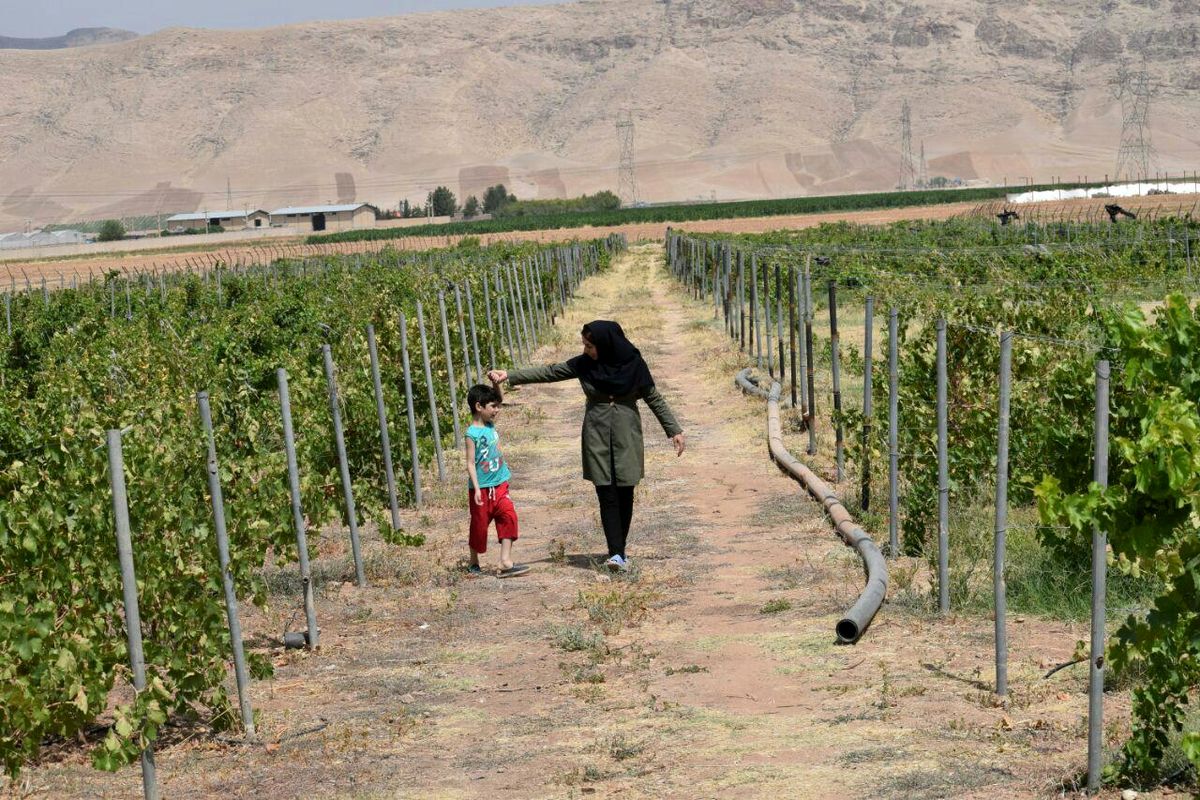 اطلس طبیعت گردی قزوین تهیه می شود