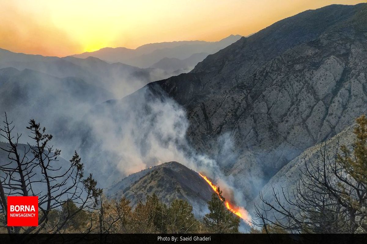 آتش دوباره بر جان ارسباران