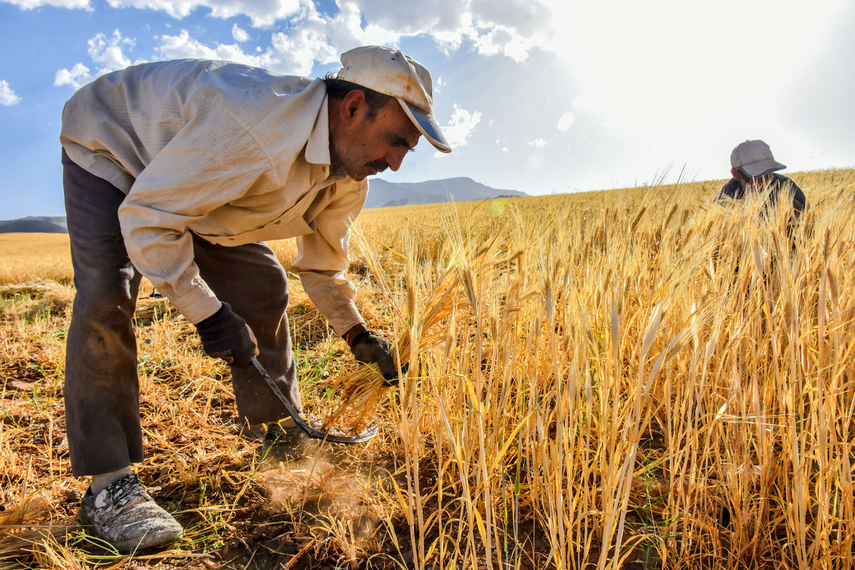 تخصیص ۵۸۰ میلیارد ریال اعتبار برای اشتغال پایدار روستایی در آذربایجان غربی