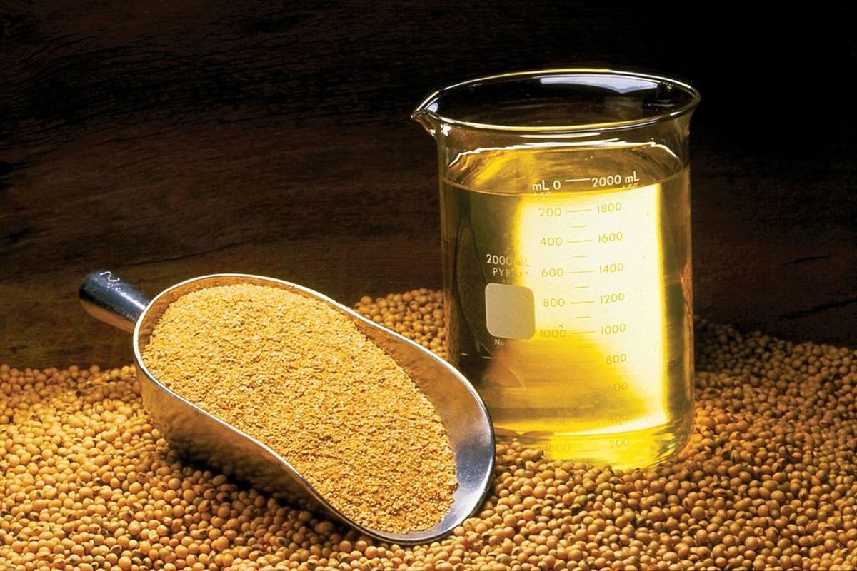 اصلاح نرخ عرضه ذخایر روغن استراتژیک با تصمیم ستاد تنظیم بازار