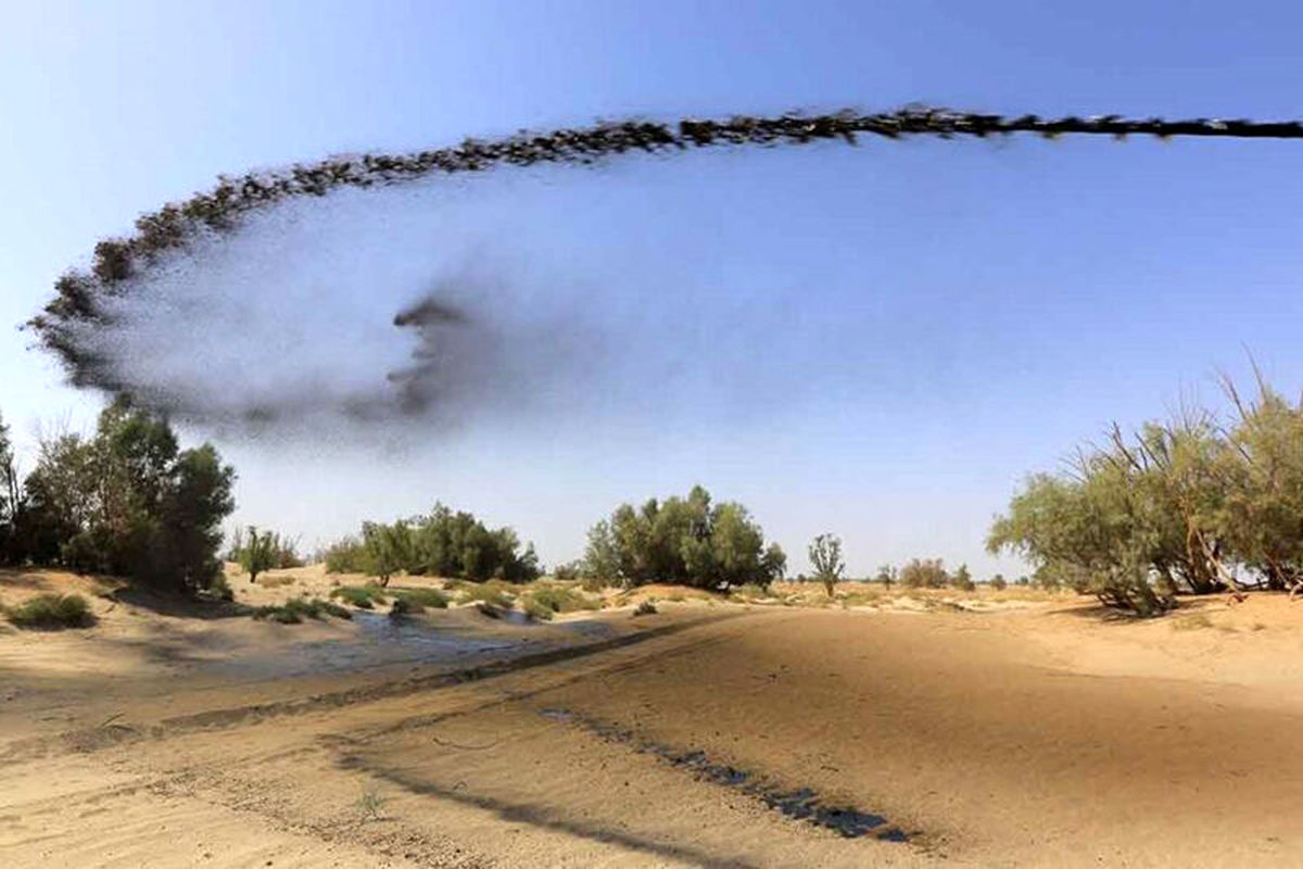 مجلس می خواهد طرح مالچ پاشی را مجددا تصویب کند/ ۲۳ استان درگیر گرد و غبار هستند