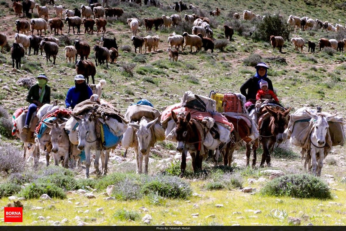 هر خانوار عشایر خراسان شمالی در ایام کوچ بیش از ۴۰ میلیون ریال متحمل هزینه رفت و آمد شد