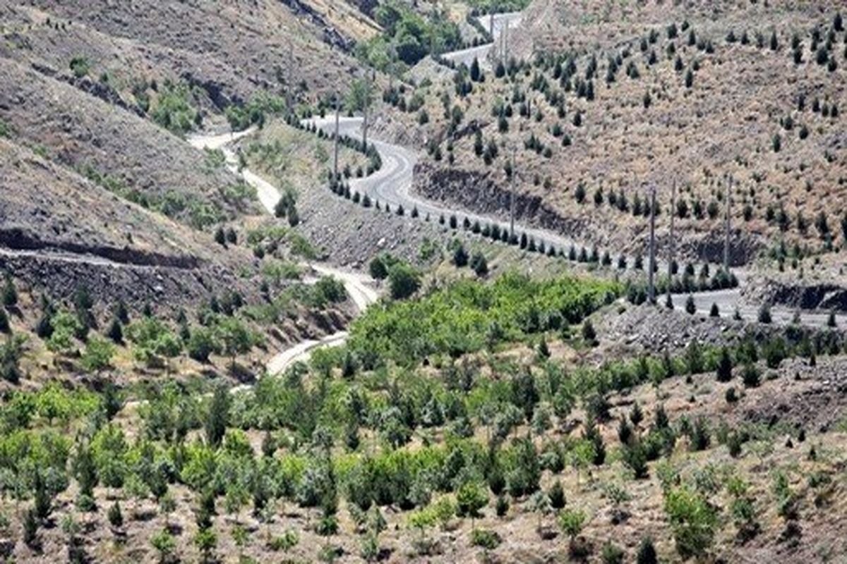 ایجاد کمربند حفاظتی در سطح ۷۵۰ کیلومتر از اراضی ملی استان