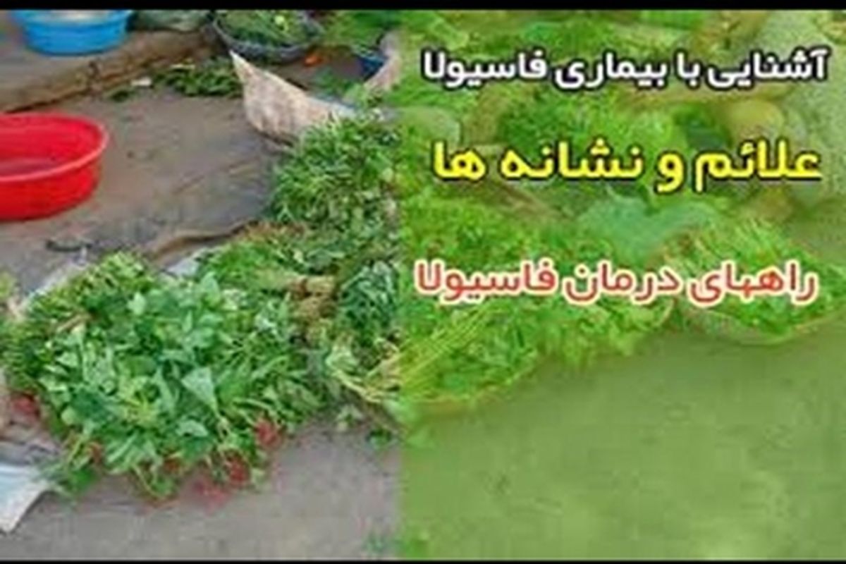 تاکنون در سال ۱۴۰۰ بیمار مبتلا به فاسیولا در گیلان نداشتیم/ مردم مراقبت‌های بهداشتی را جدی بگیرند