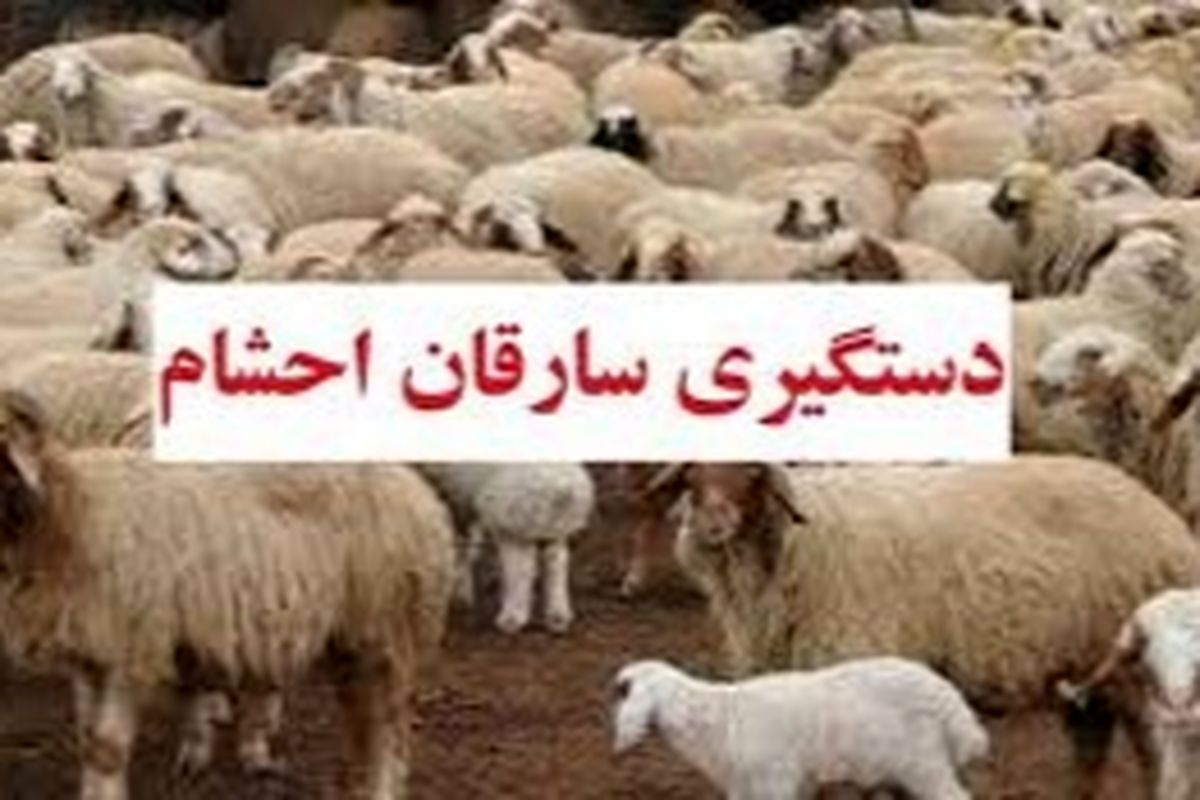 دستگیری سارق احشام در گچساران