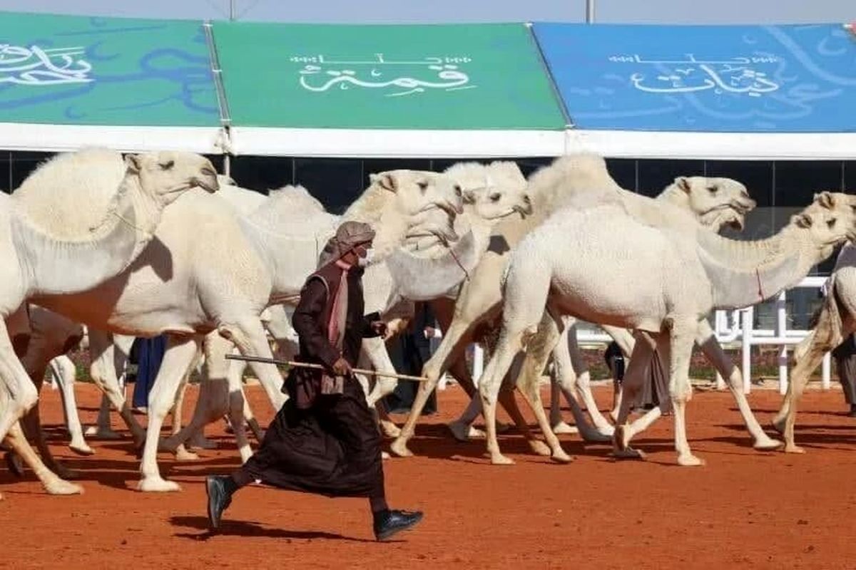 رژه زنان عربستانی در مهمترین جشنواره سعودی‌ها+تصاویر