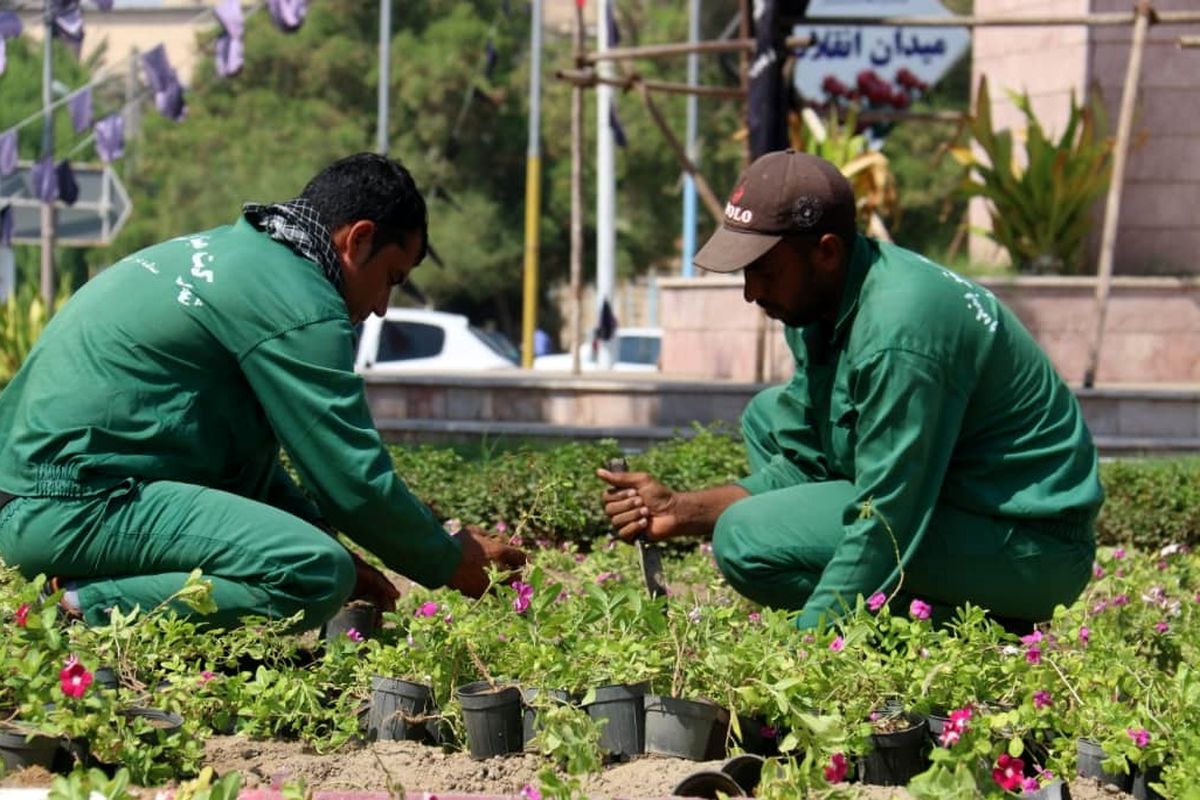 توانسنجی پیمانکاران حوزه نگهداری و توسعه فضای سبز