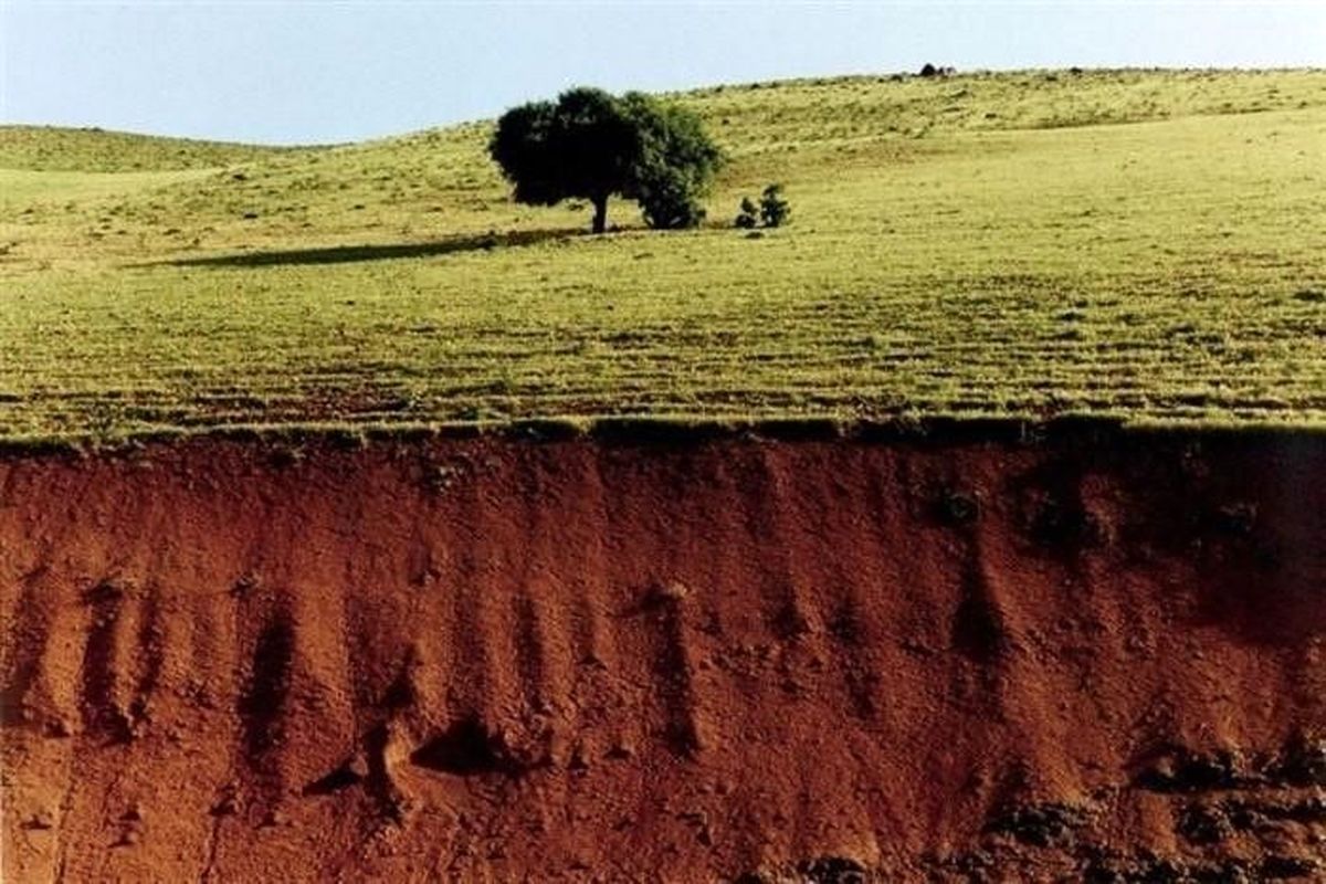 زندگی نامه عباس کیارستمی فیلمساز، عکاس و نقاش ایرانی