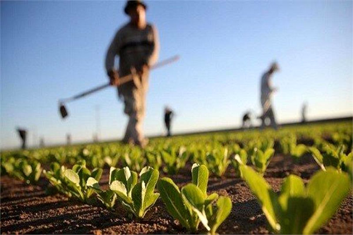 رشد ۱۶ درصدی ایجاد اشتغال در کمیته امداد خراسان شمالی