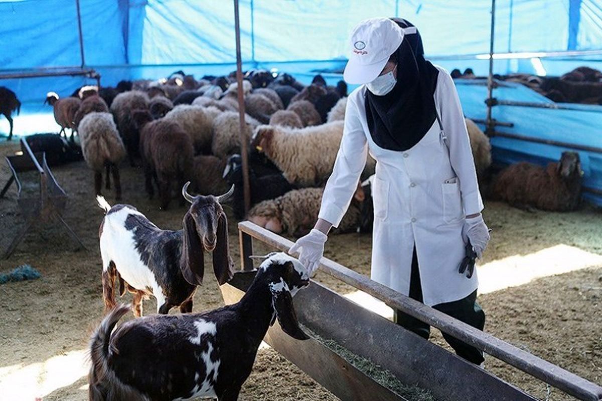 کاروان سلامت دام ستاد اجرایی فرمان حضرت امام(ره) به خوزستان رسید