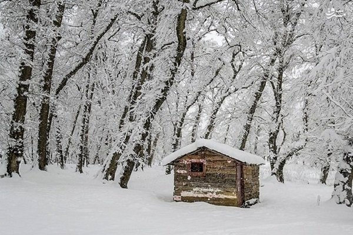 یخبندان زیر ۱۶ درجه در مازندران