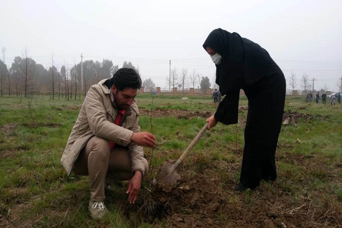 با مشارکت کمیسیون میراث فرهنگی ، گردشگری و صنایع دستی مجمع جوانان مازندران انجام شد / کاشت ۱۰۰ اسلحه نهال در عرصه دانشگاه علوم پزشکی ساری